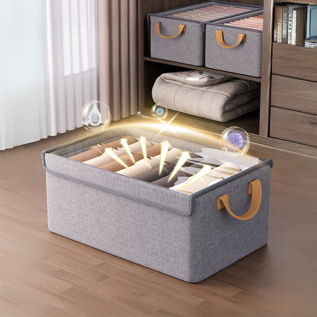 Titan Max Organizer with Lid - 3 for 2