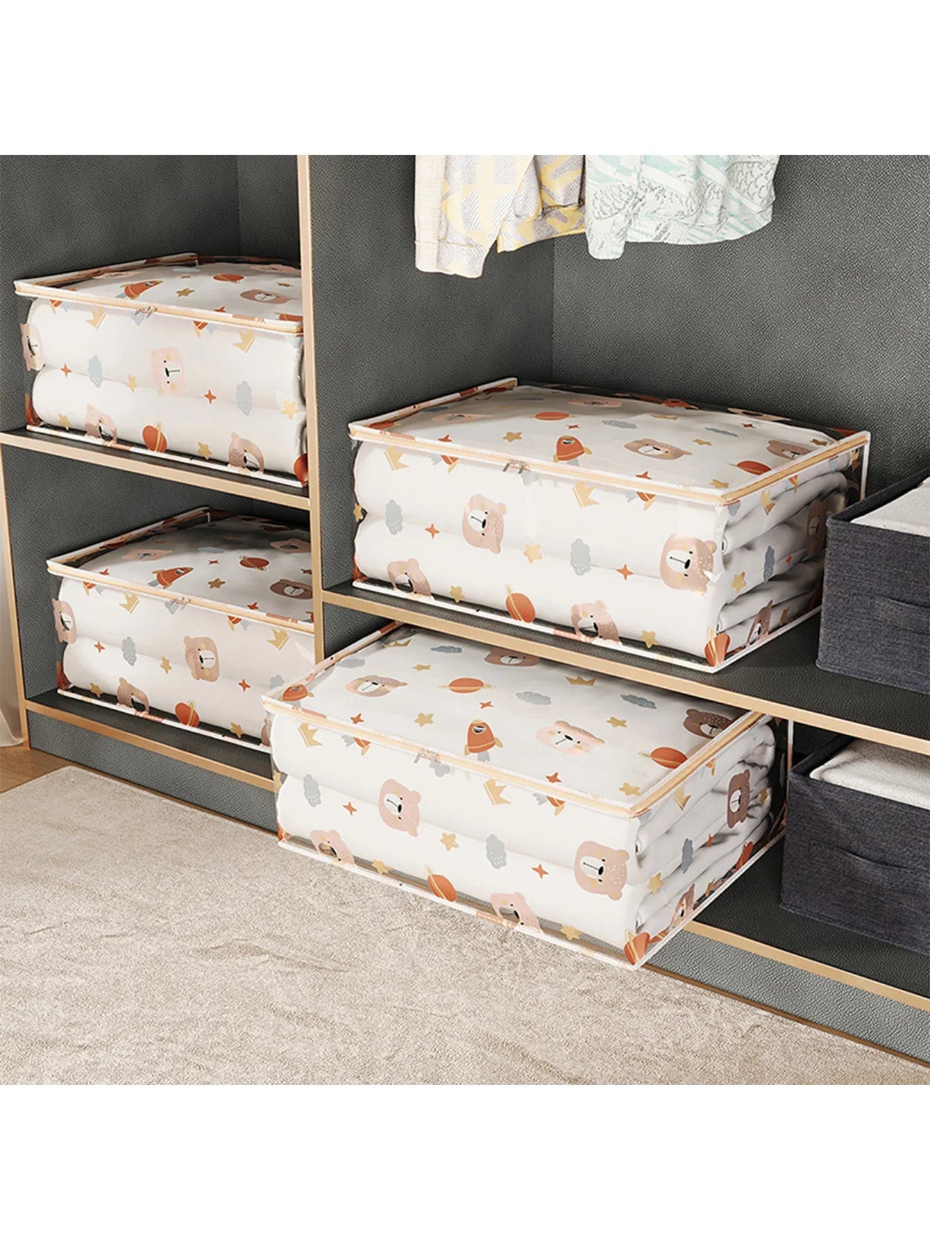 Transparent Organizer - Buy 3, Pay for 2 + Free Shipping